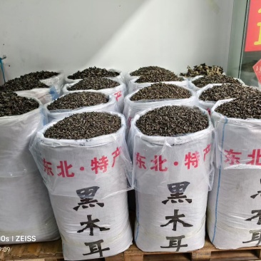 黑木耳
