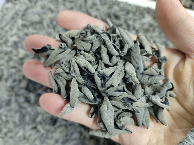 精品秋木耳碗耳老鼠耳，东北发货正宗黑木耳