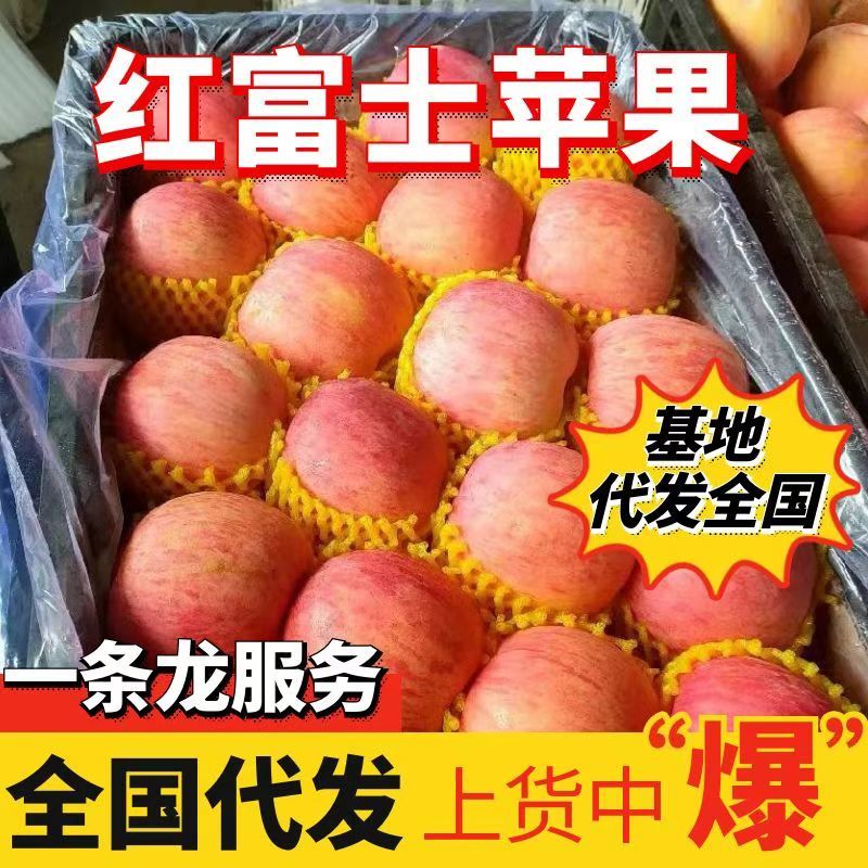 《红富士苹果》基地现货纸袋膜袋规格齐全可全国发货