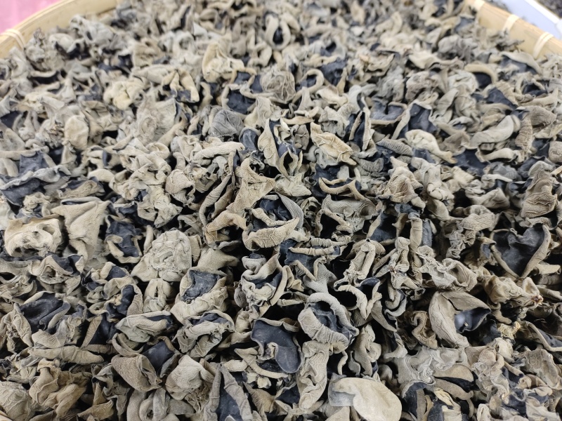 黑厚黑木耳