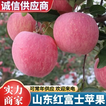 《常年出售》红富士苹果规格齐全随到随装大量现货供应