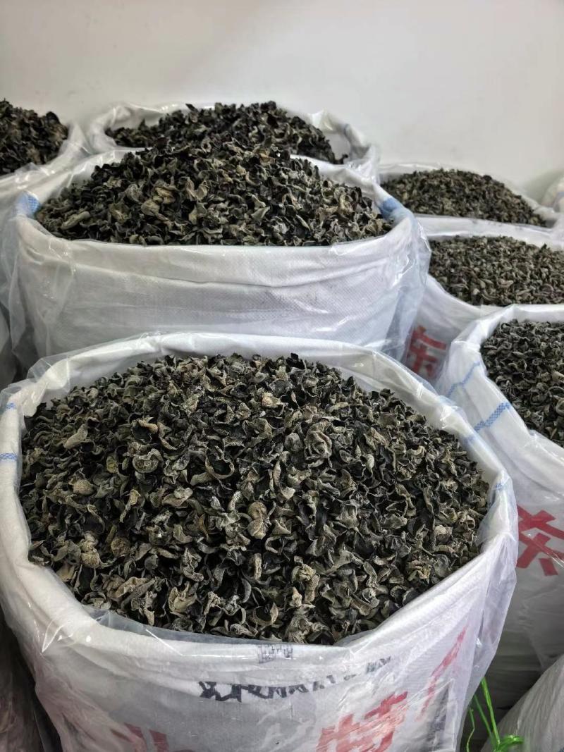 正宗东北黑木耳，食用鲜货，需要联系，进店电话有优惠