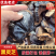 黑灵芝山东灵芝养殖基地直发保质保量货真价实