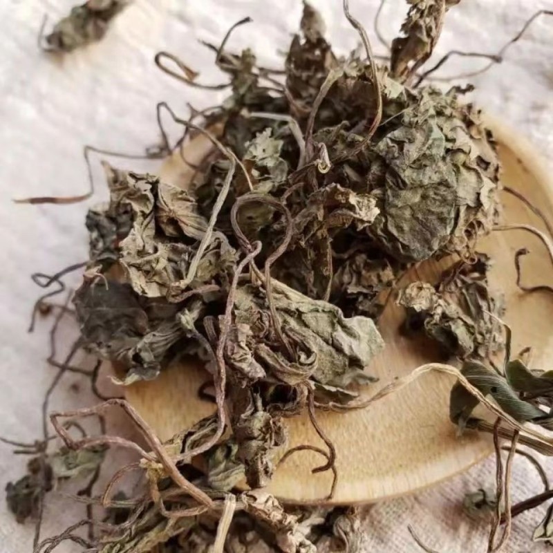 中药材青天葵心火独叶莲珍珠叶独脚天青天葵