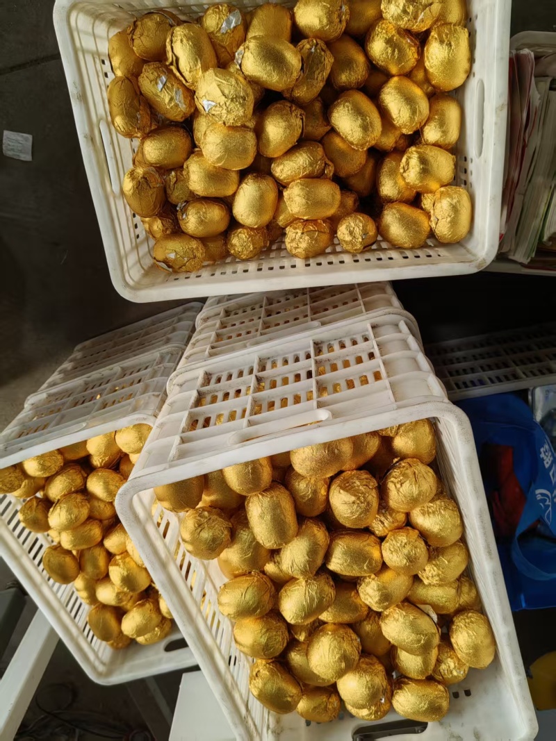 陕西周至黄心猕猴桃品质保证对接市场商超团购欢迎来电