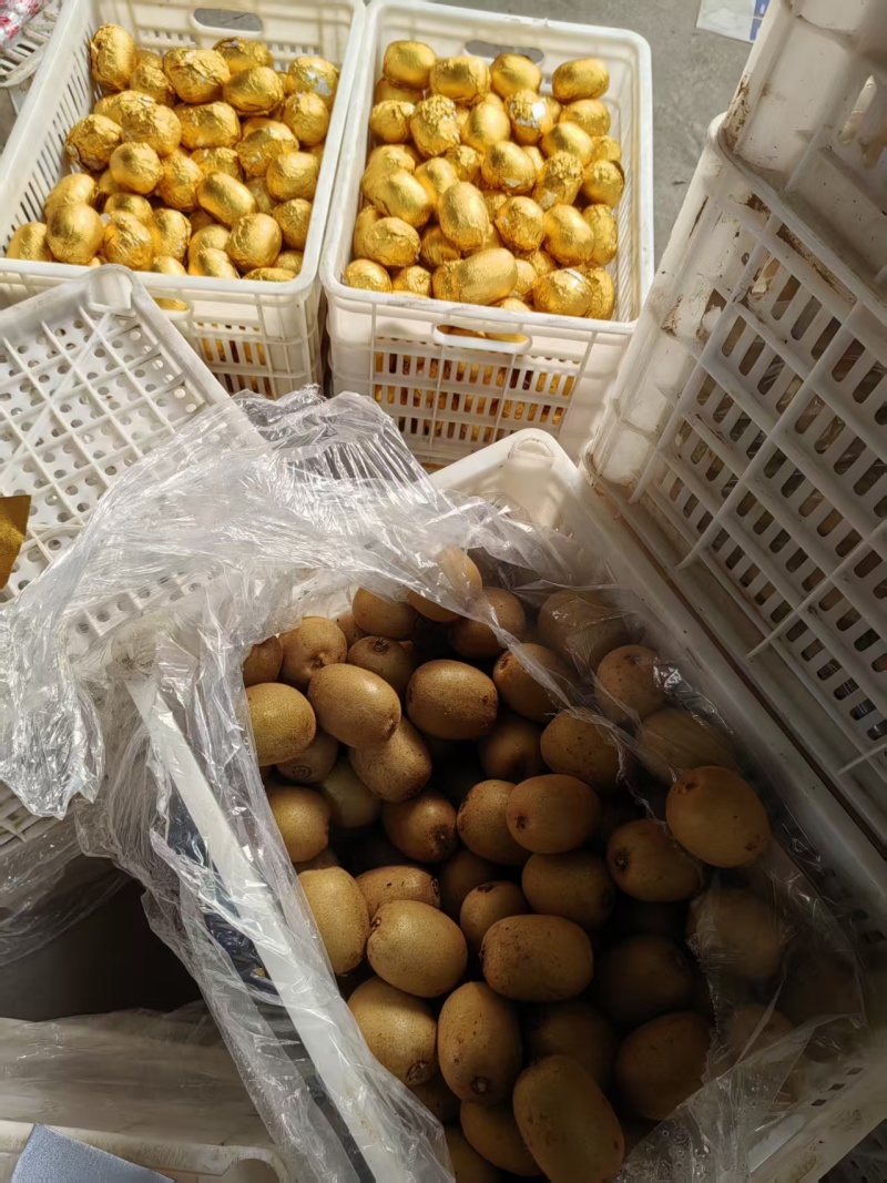 陕西周至黄心猕猴桃品质保证对接市场商超团购欢迎来电
