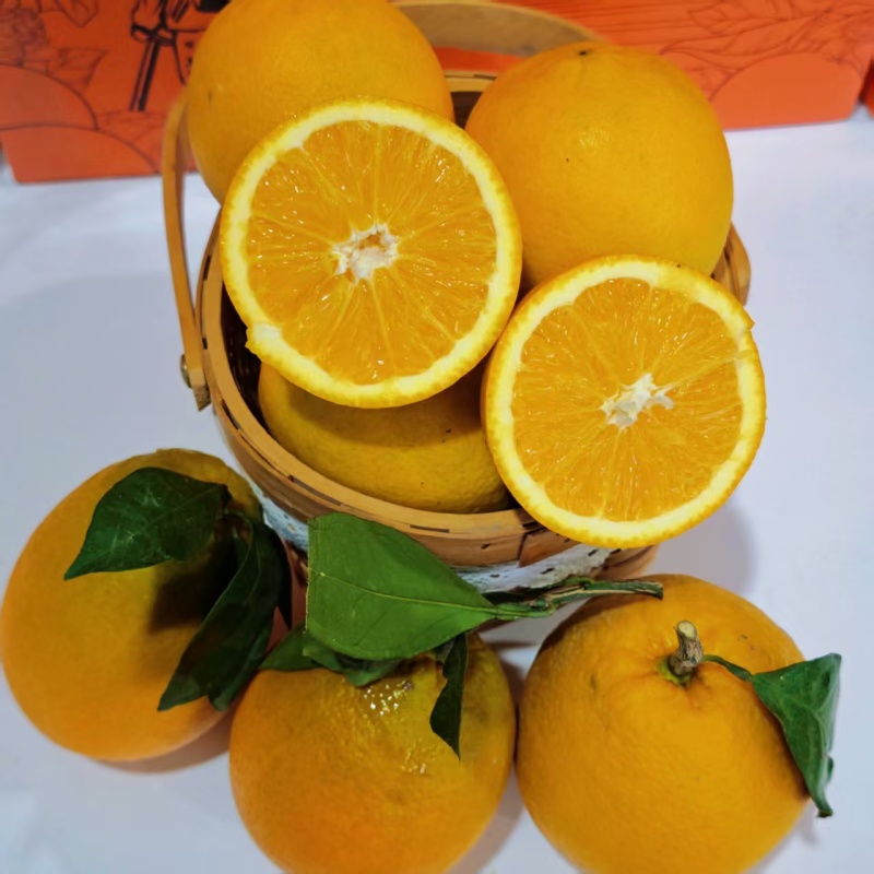纽荷尔脐橙