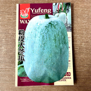 粉皮大冬瓜种子早熟肉厚高产白皮大节瓜春秋种植