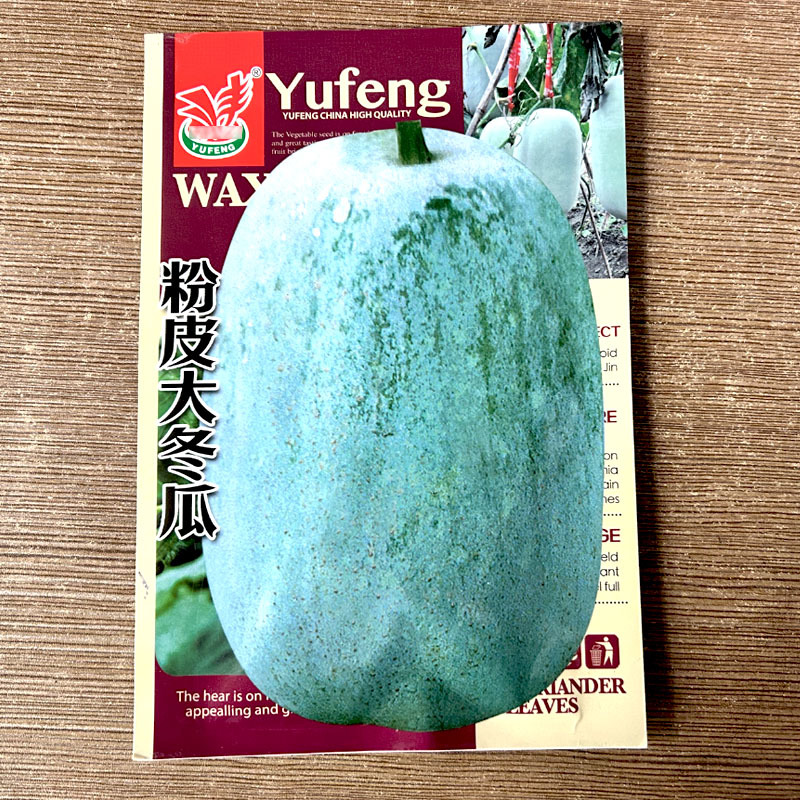 粉皮大冬瓜种子早熟肉厚高产白皮大节瓜春秋种植