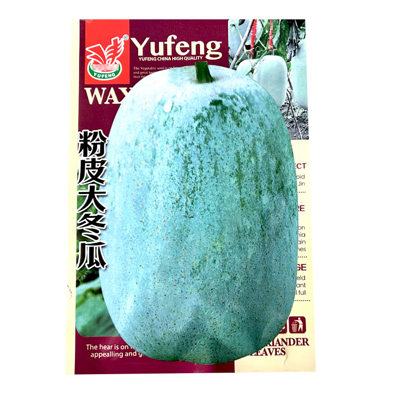 粉皮大冬瓜种子早熟肉厚高产白皮大节瓜春秋种植