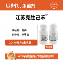 江苏克胜己禾40%丙硫菌唑.戊唑醇悬浮剂