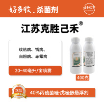 江苏克胜己禾40%丙硫菌唑·戊唑醇悬浮剂