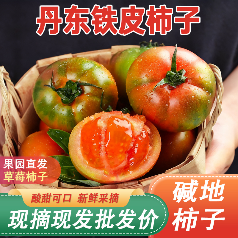 丹东铁皮柿子草莓柿子包邮蔬菜水果番茄西红柿正宗新鲜碱地柿