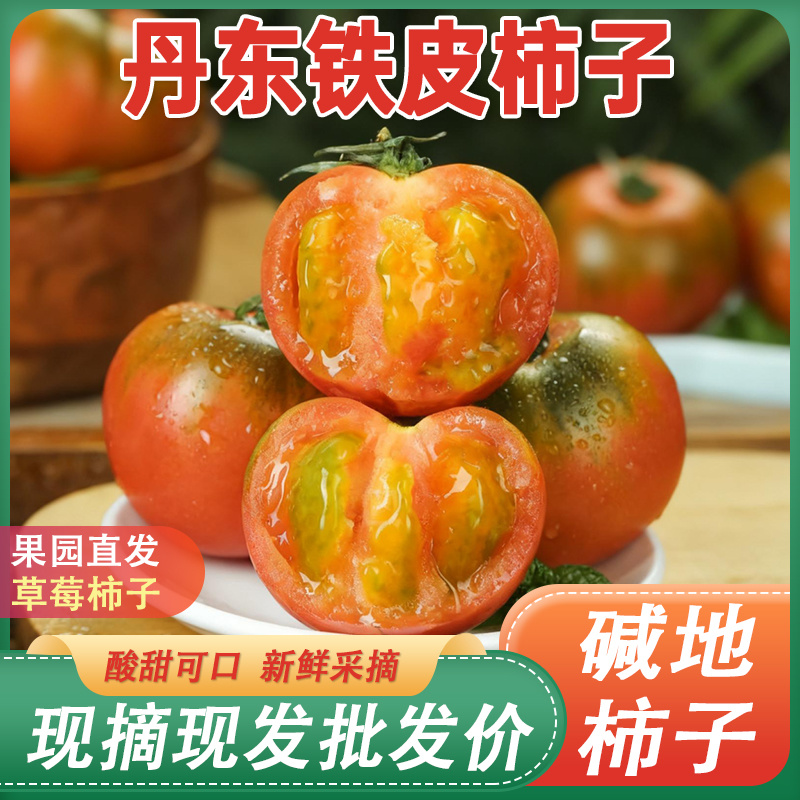 丹东铁皮柿子草莓柿子包邮蔬菜水果番茄西红柿正宗新鲜碱地柿