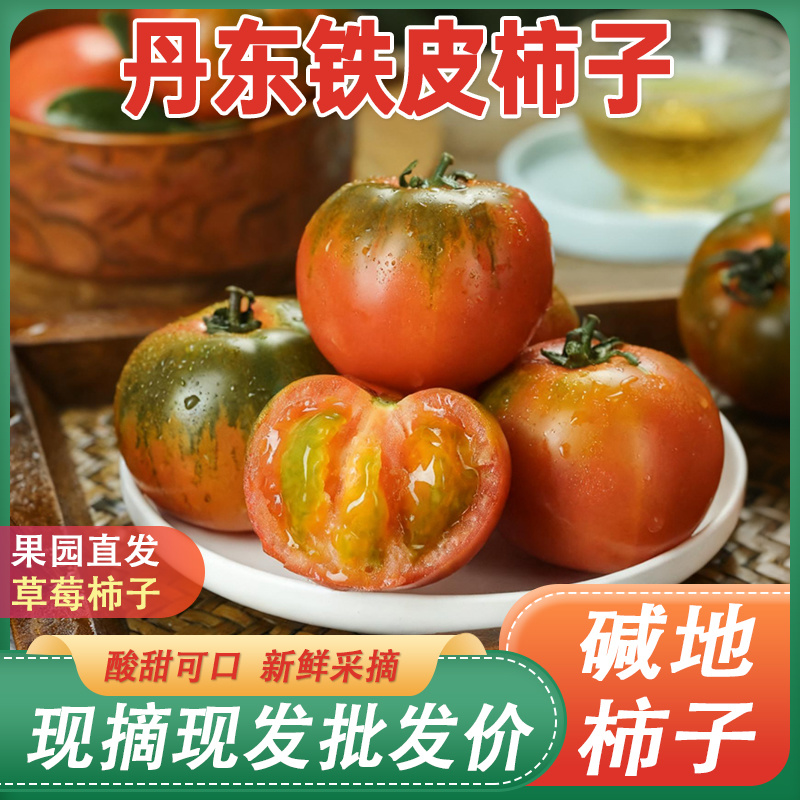 丹东铁皮柿子草莓柿子包邮蔬菜水果番茄西红柿正宗新鲜碱地柿