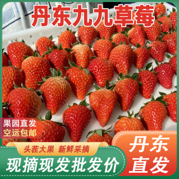 正宗丹东九九草莓久久红颜草莓产地直发新鲜水果批发代发