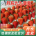 正宗丹东九九草莓久久红颜草莓产地直发新鲜水果批发代发