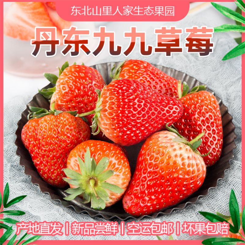 正宗丹东九九草莓久久红颜草莓产地直发新鲜水果批发代发