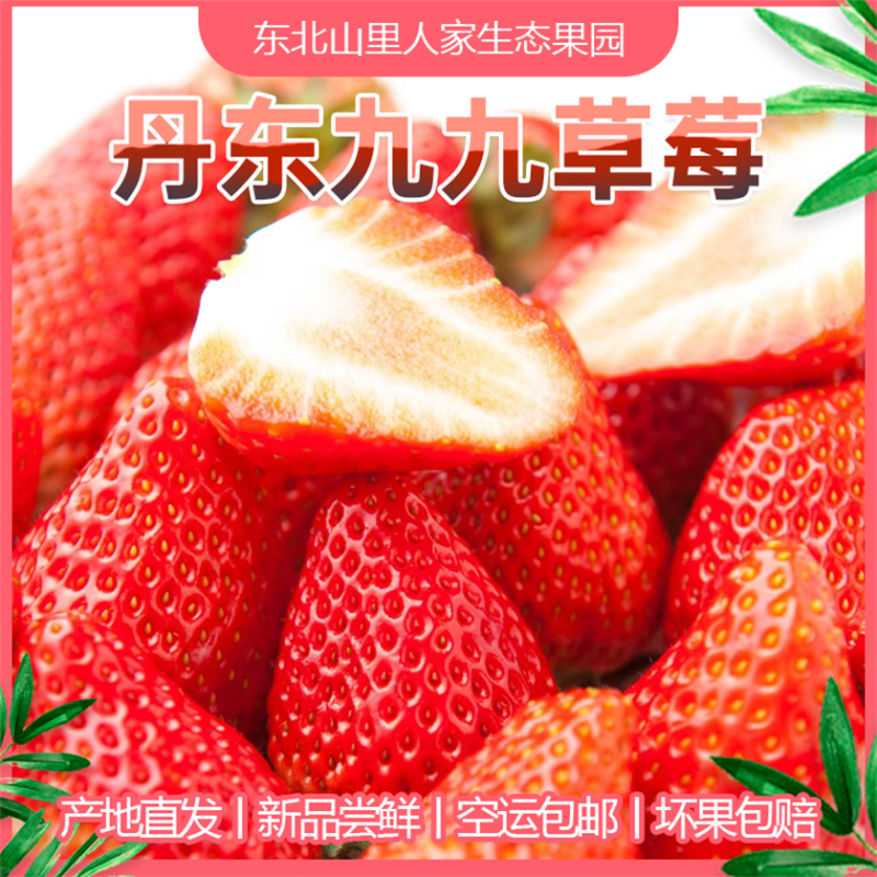 正宗丹东九九草莓久久红颜草莓产地直发新鲜水果批发代发