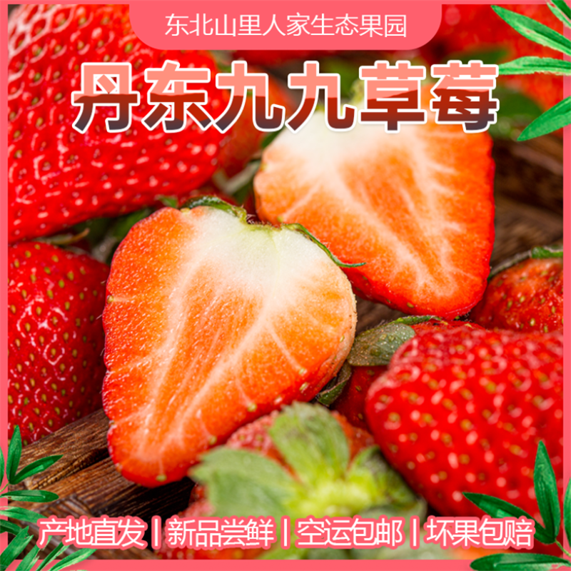正宗丹东九九草莓久久红颜草莓产地直发新鲜水果批发代发