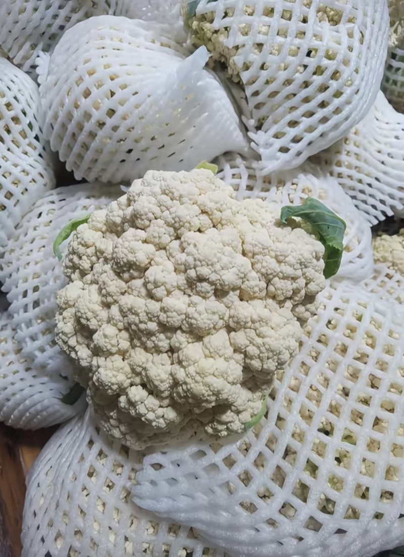 花菜松花菜菜花产地直发，大量出货，诚信经营