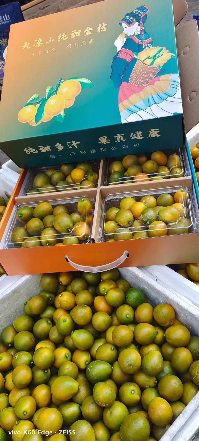 【推荐】四川大凉山纯甜脆皮金桔保质保量现摘现发对接全国