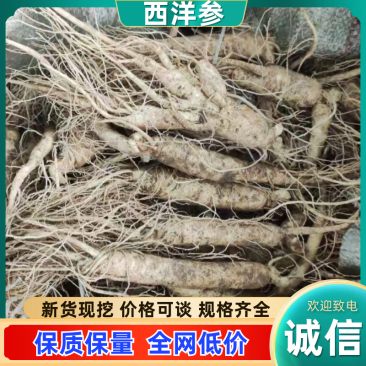 长白山西洋参支持线上保障交易，大中小各种规格