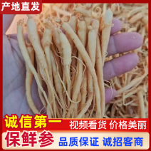 长白山小保鲜参，货源充足，支持线上保障交易