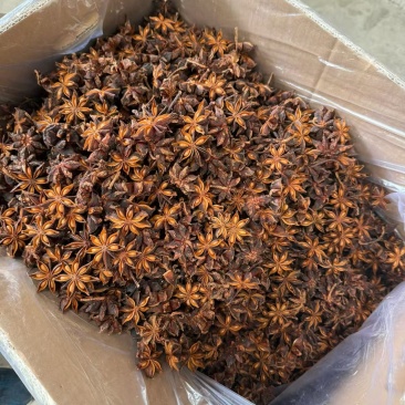 新货大红八角足干过筛