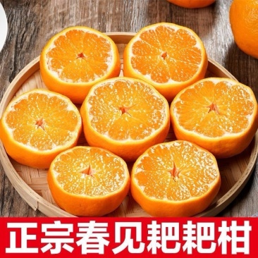 耙耙柑量大发货对接全国欢迎进店联系