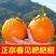 耙耙柑量大发货对接全国欢迎进店联系