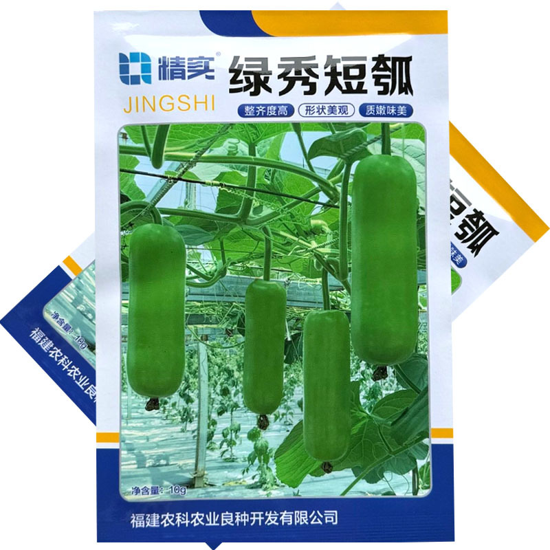 绿秀6号短瓠种子早熟瓠瓜种子瓜皮深绿色油亮短圆筒形基地种