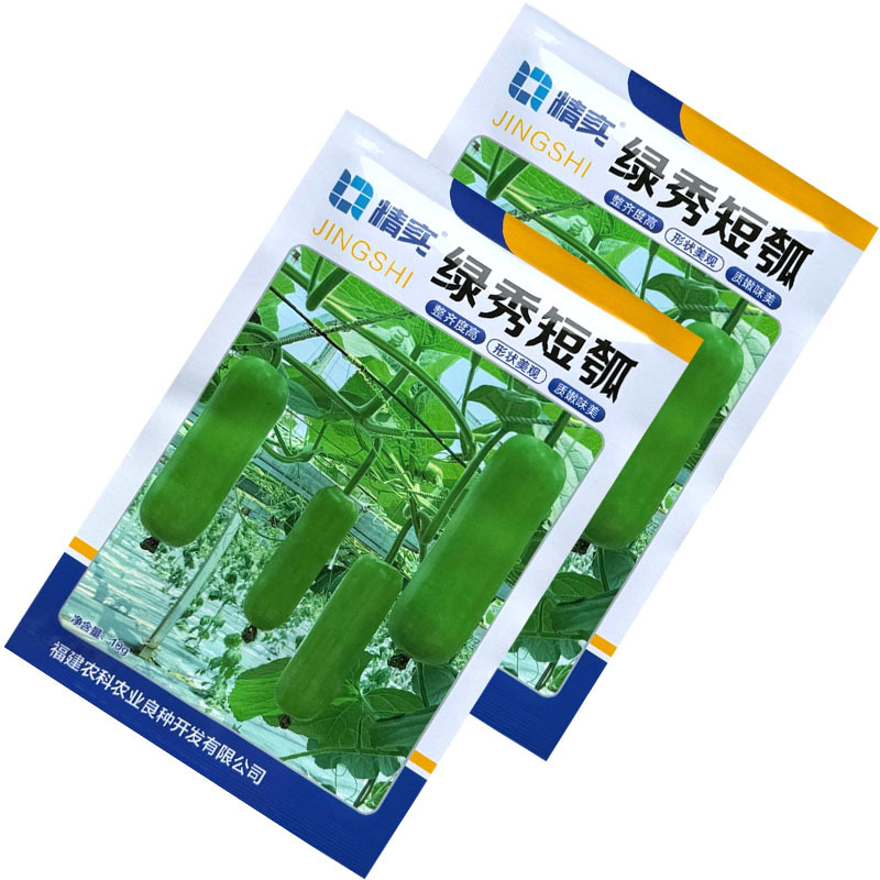 绿秀6号短瓠种子早熟瓠瓜种子瓜皮深绿色油亮短圆筒形基地种