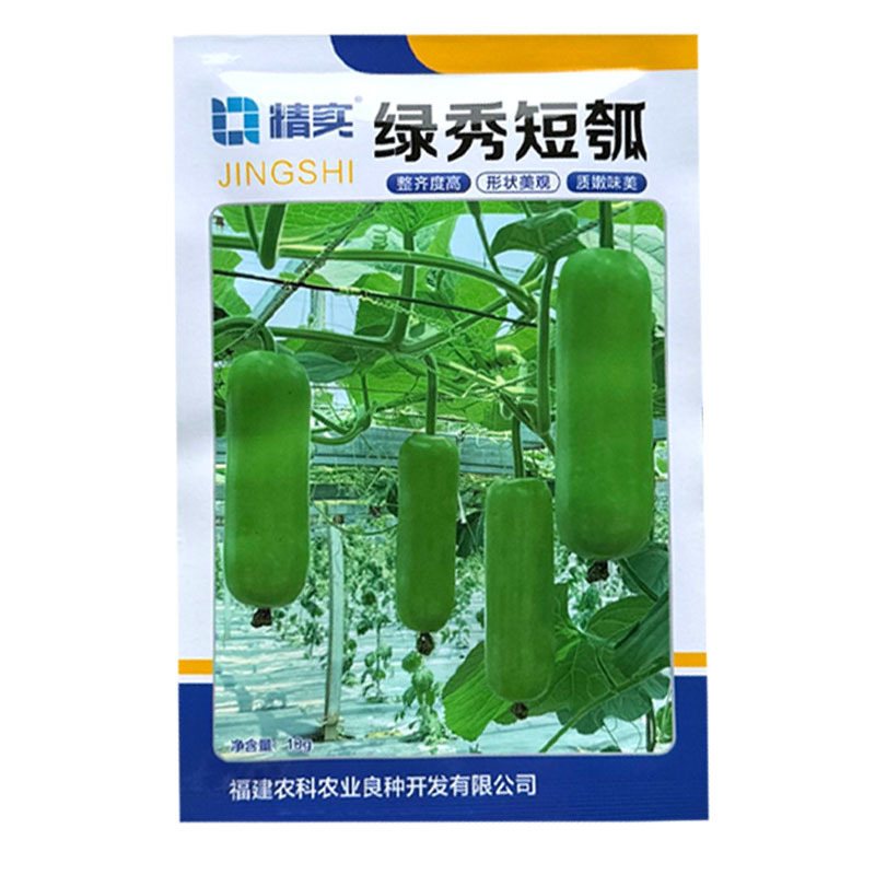 绿秀6号短瓠种子早熟瓠瓜种子瓜皮深绿色油亮短圆筒形基地种