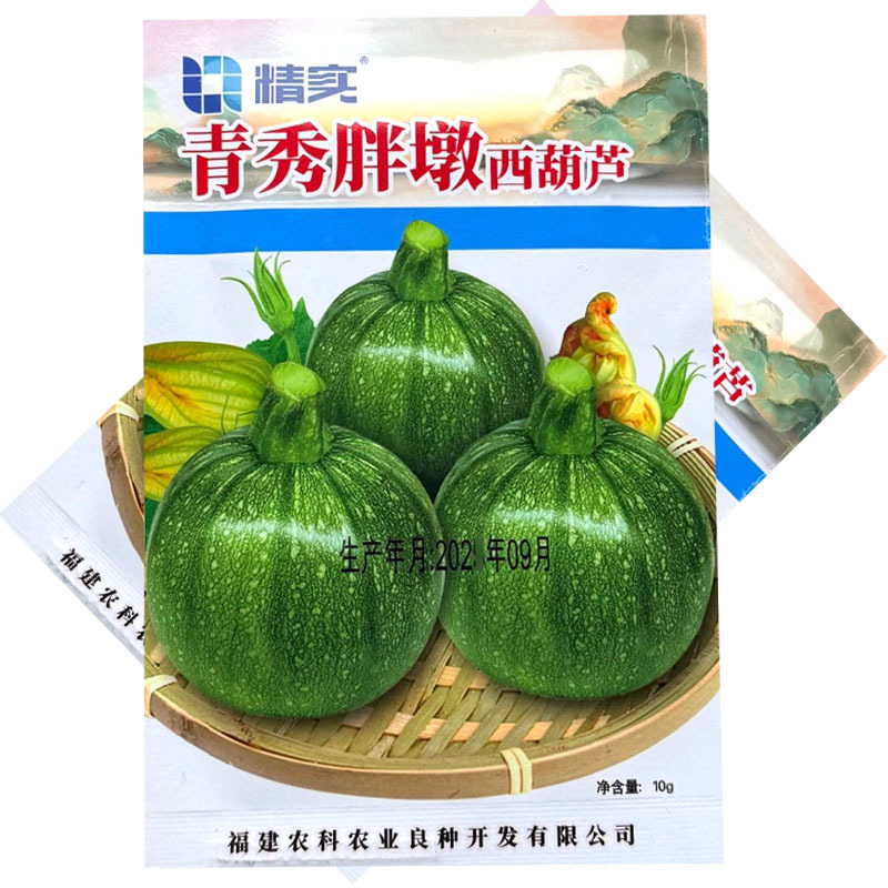 青秀胖墩西葫芦种子杂交中早熟圆形爬地葫芦瓜种籽果皮油亮