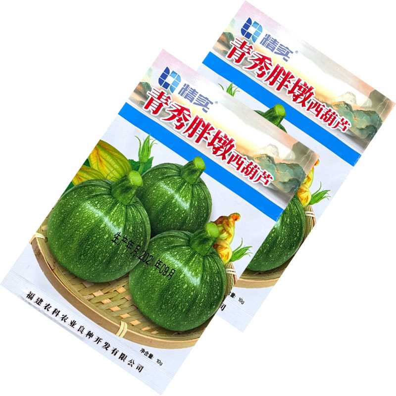 青秀胖墩西葫芦种子杂交中早熟圆形爬地葫芦瓜种籽果皮油亮