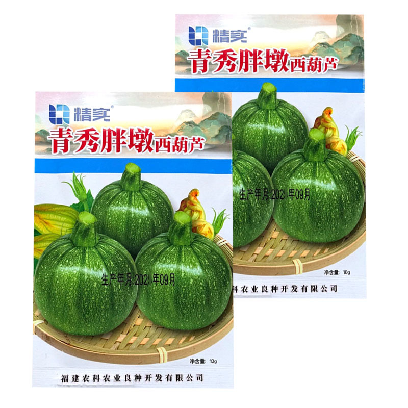 青秀胖墩西葫芦种子杂交中早熟圆形爬地葫芦瓜种籽果皮油亮