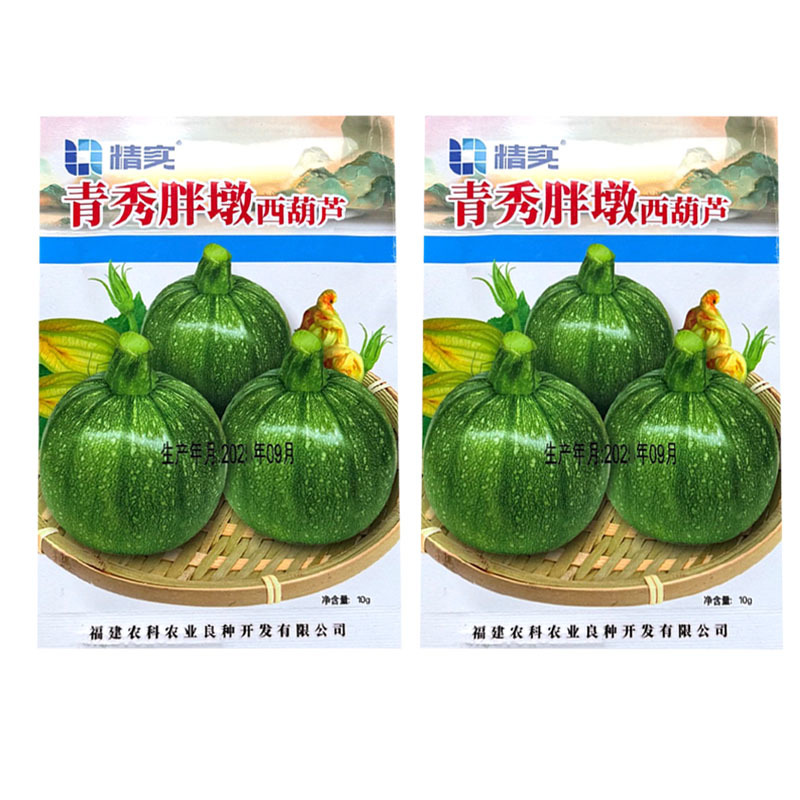 青秀胖墩西葫芦种子杂交中早熟圆形爬地葫芦瓜种籽果皮油亮
