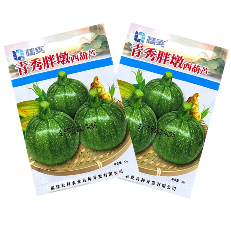 青秀胖墩西葫芦种子杂交中早熟圆形爬地葫芦瓜种籽果皮油亮