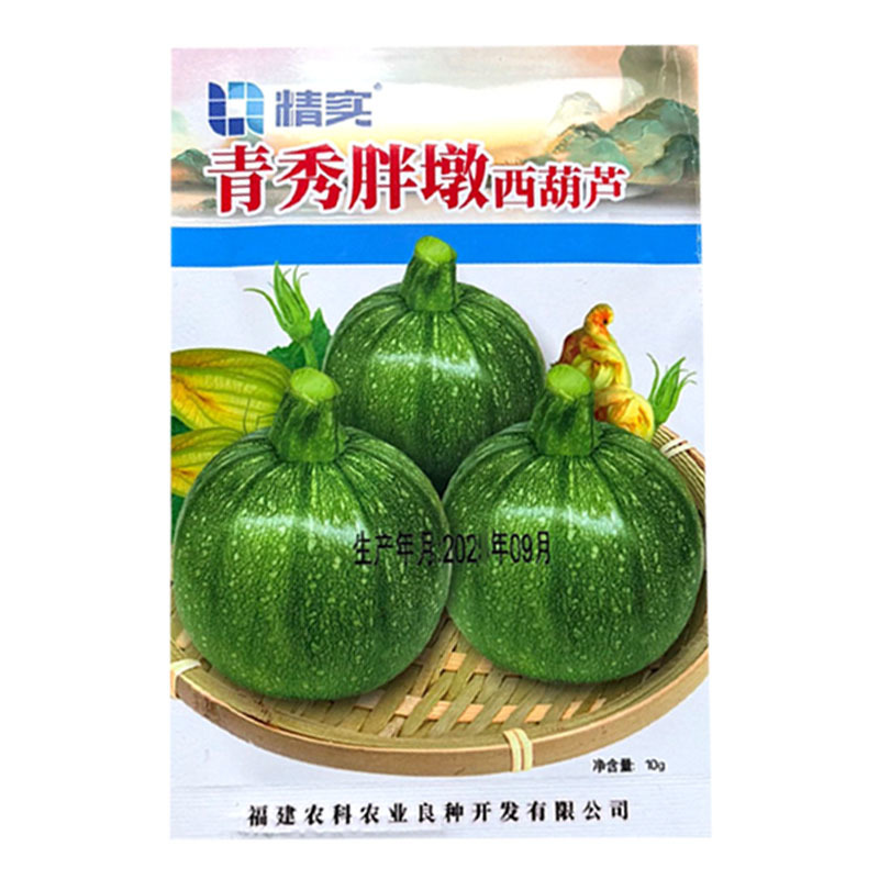 青秀胖墩西葫芦种子杂交中早熟圆形爬地葫芦瓜种籽果皮油亮