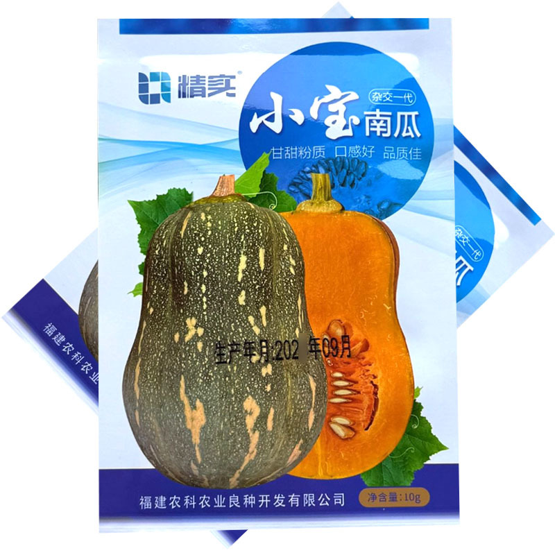 小宝南瓜种子杂交口感型南瓜种籽肉厚甘甜粉糯花生南瓜种子