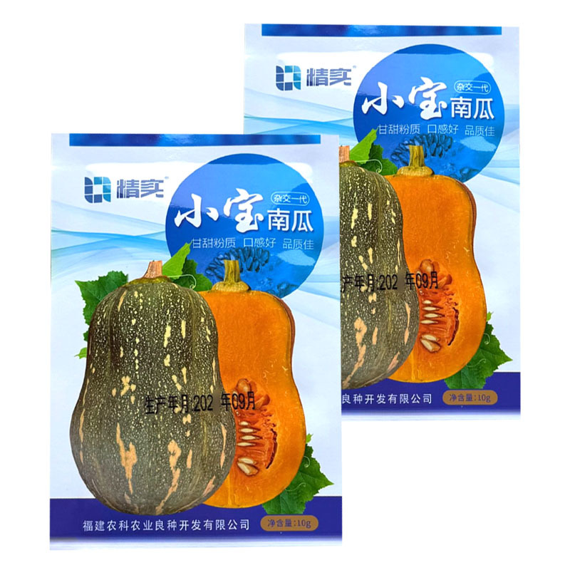 小宝南瓜种子杂交口感型南瓜种籽肉厚甘甜粉糯花生南瓜种子