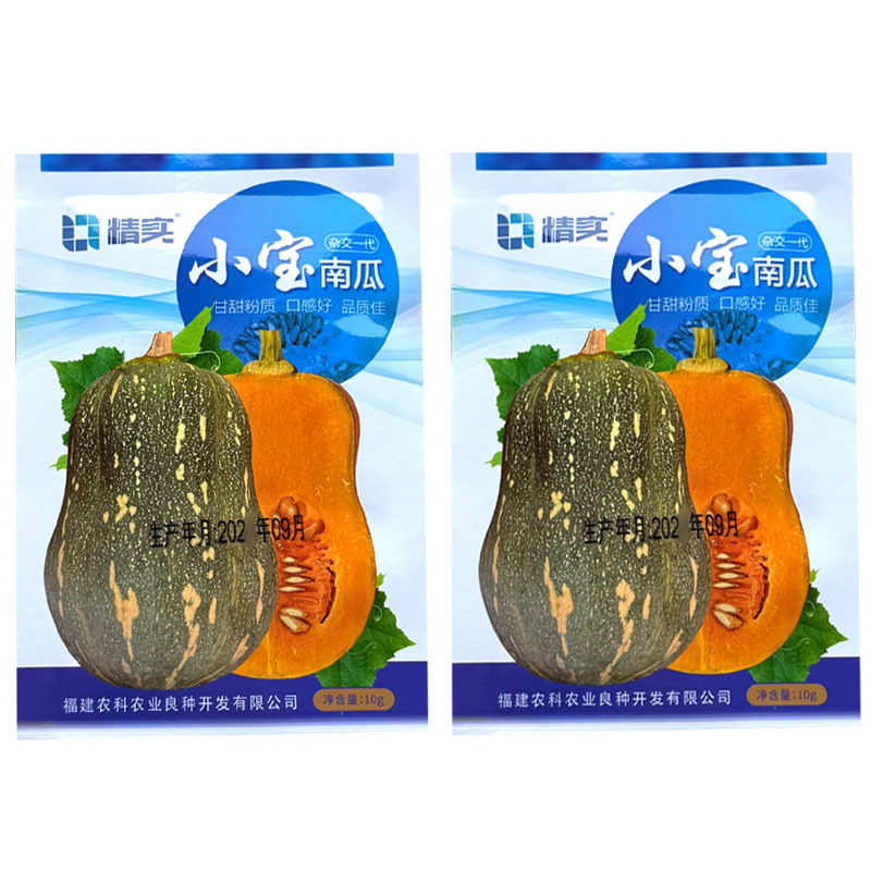 小宝南瓜种子杂交口感型南瓜种籽肉厚甘甜粉糯花生南瓜种子