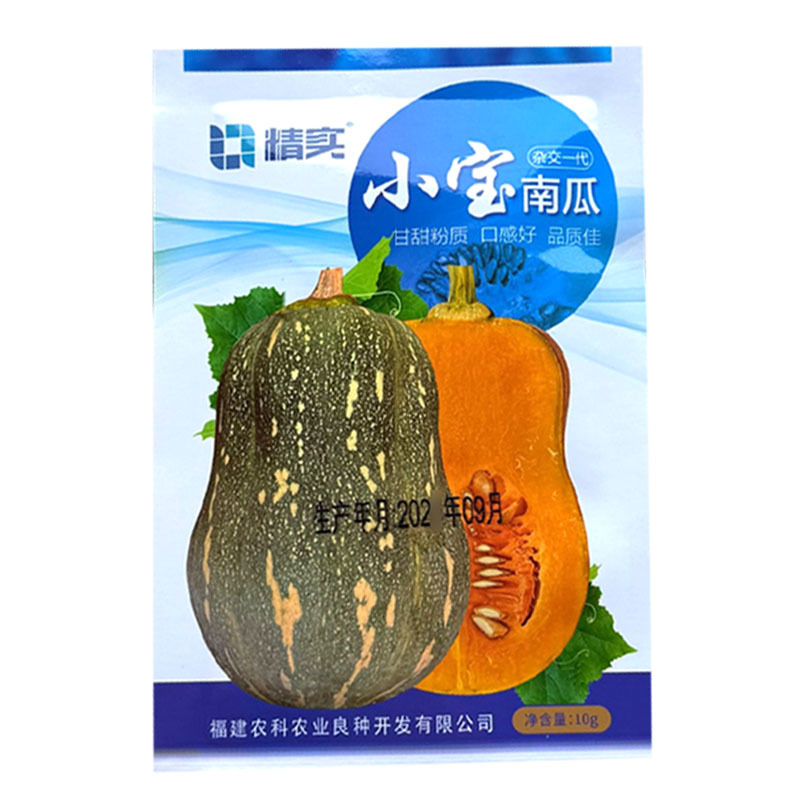 小宝南瓜种子杂交口感型南瓜种籽肉厚甘甜粉糯花生南瓜种子