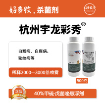 杭州宇龙彩秀40%甲硫·戊菌唑悬浮剂