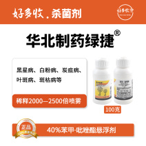 华北制药爱诺绿捷40%苯甲·吡唑酯悬浮剂