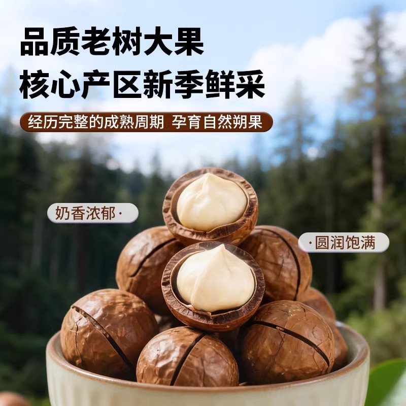 夏威夷果大颗粒坚果干果奶香散装大颗粒休闲零食批发