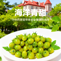 山东青甜小番茄自然熟蜜甜爽口多汁顺丰包邮
