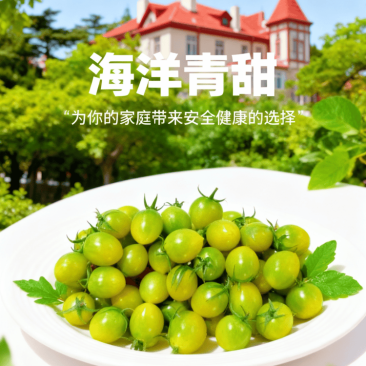 山东青甜小番茄自然熟蜜甜爽口多汁顺丰包邮