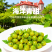 山东青甜小番茄自然熟蜜甜爽口多汁顺丰包邮